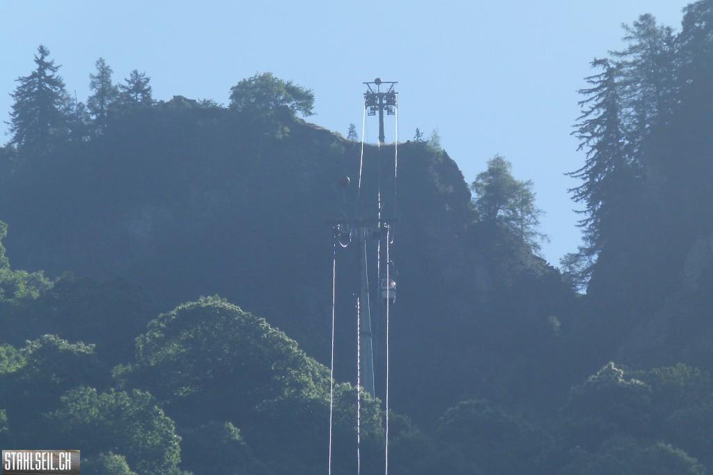 k-P1570370.JPG