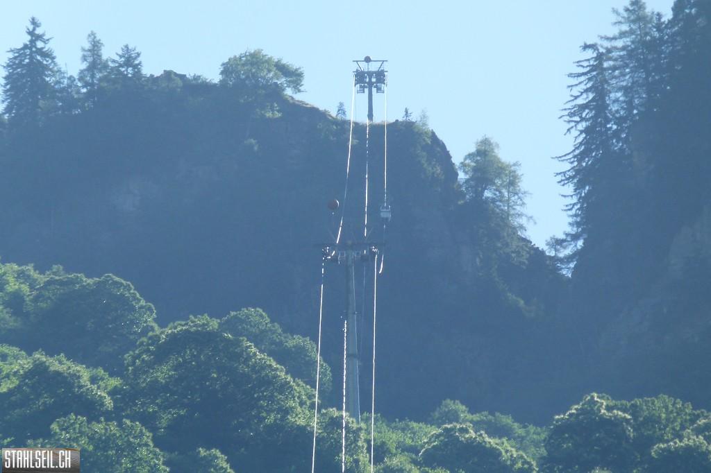 k-P1570395.JPG