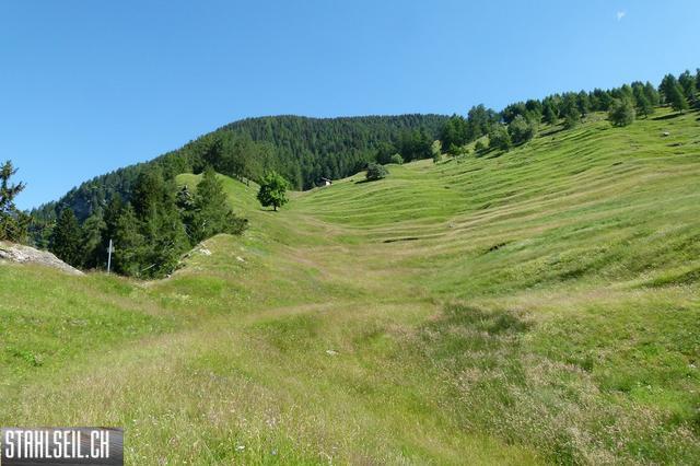 k-P1570411.JPG
