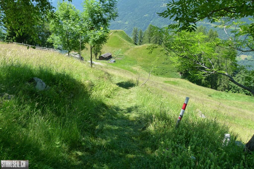 k-P1570470.JPG