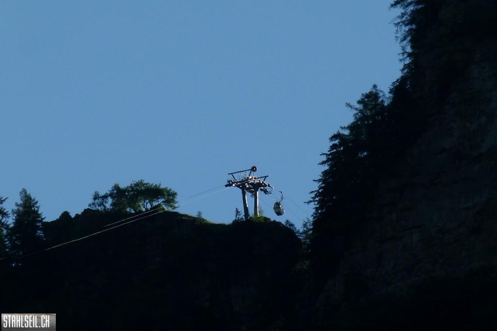 k-P1570358.JPG