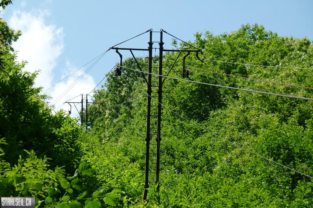 k-P1570556.JPG
