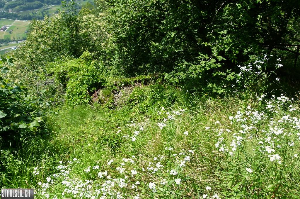 k-P1570569.JPG