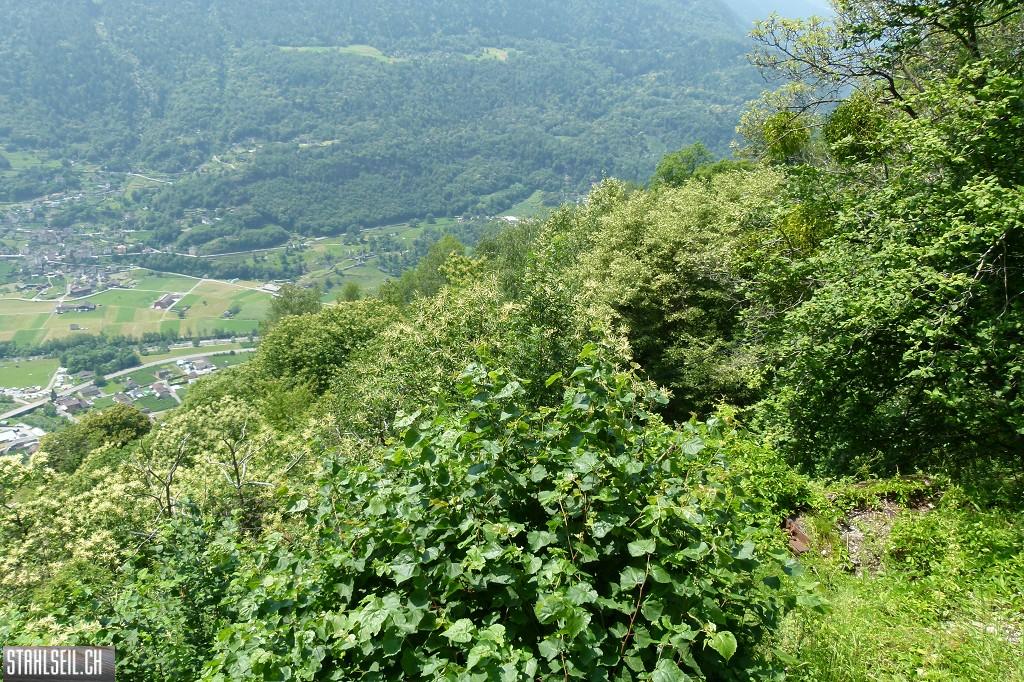 k-P1570571.JPG
