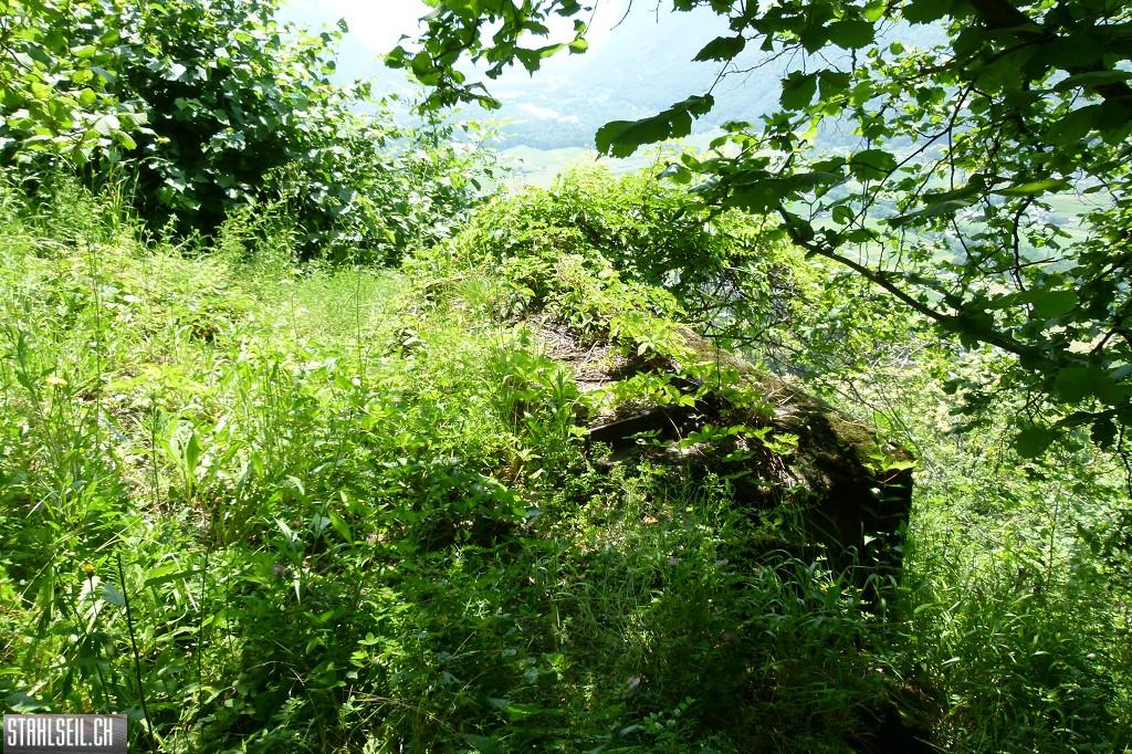 k-P1570574.JPG