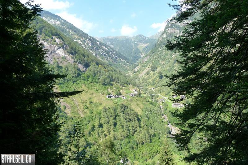 k-P1580748.JPG