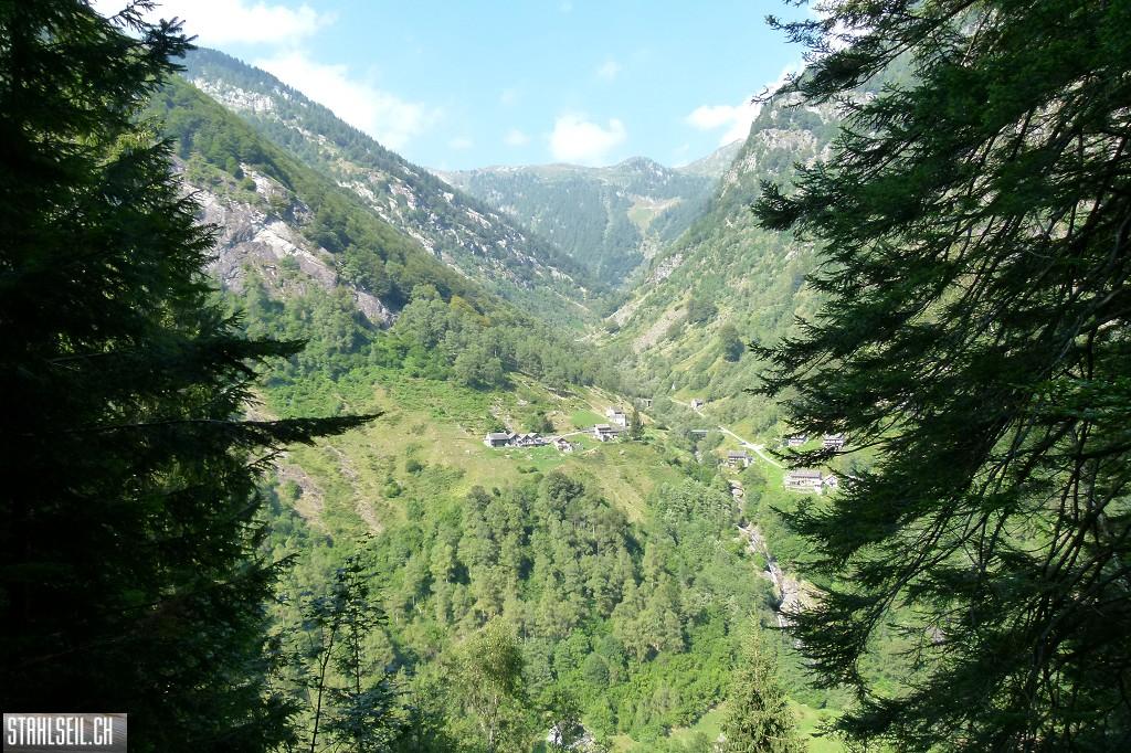 k-P1580748.JPG