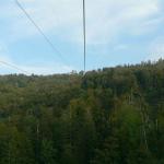 k-P1140106.JPG