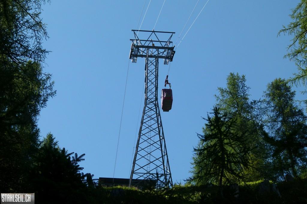 k-P1580697.JPG
