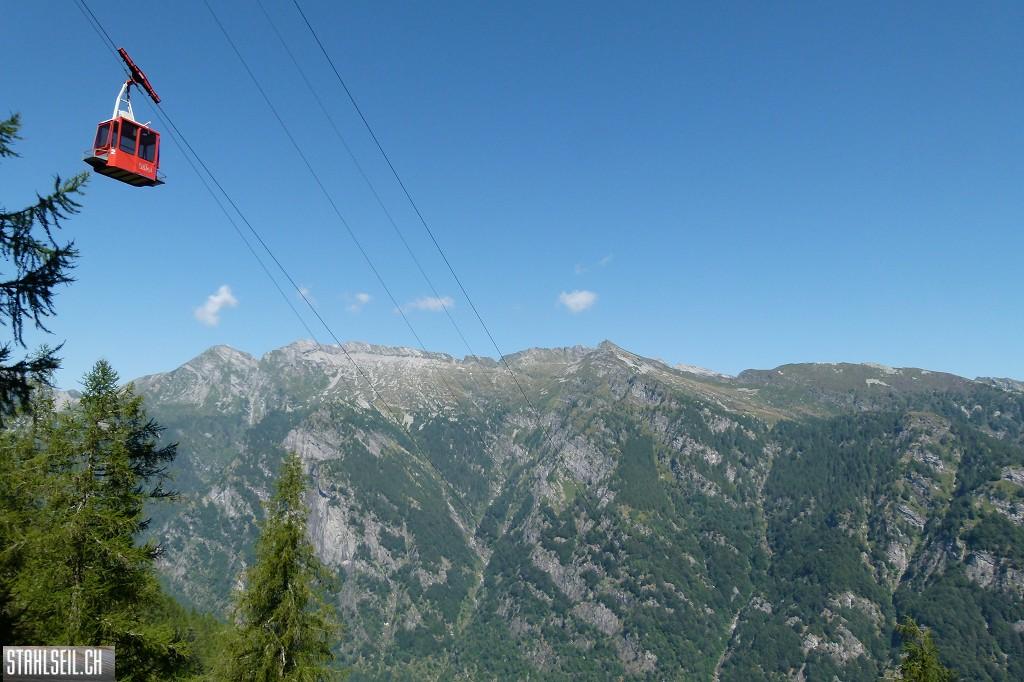 k-P1580703.JPG