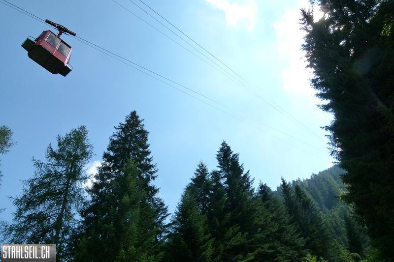 k-P1580733.JPG