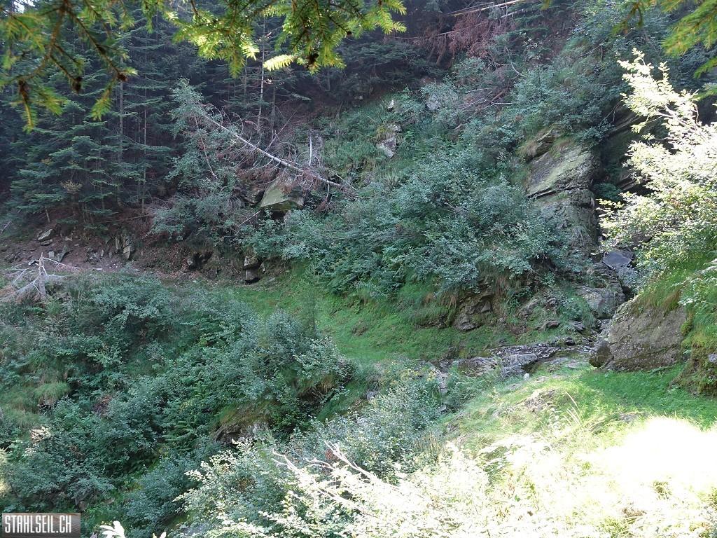 k-k-DSC01860.JPG