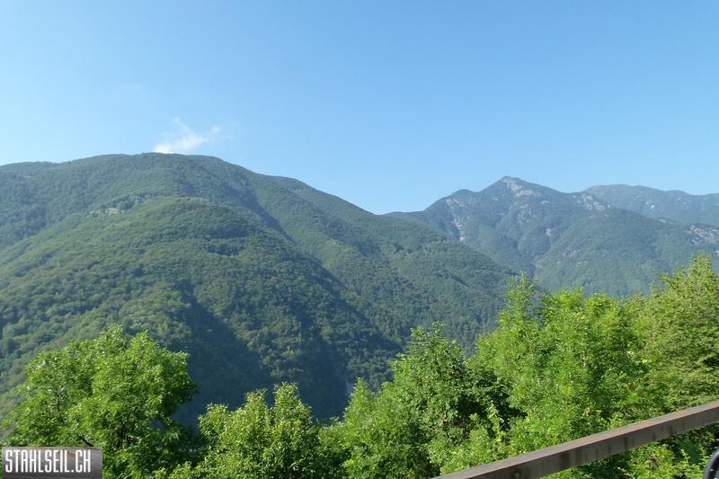 k-k-P1580636.JPG