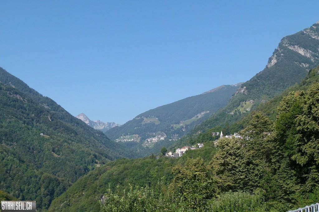 k-k-P1580643.JPG