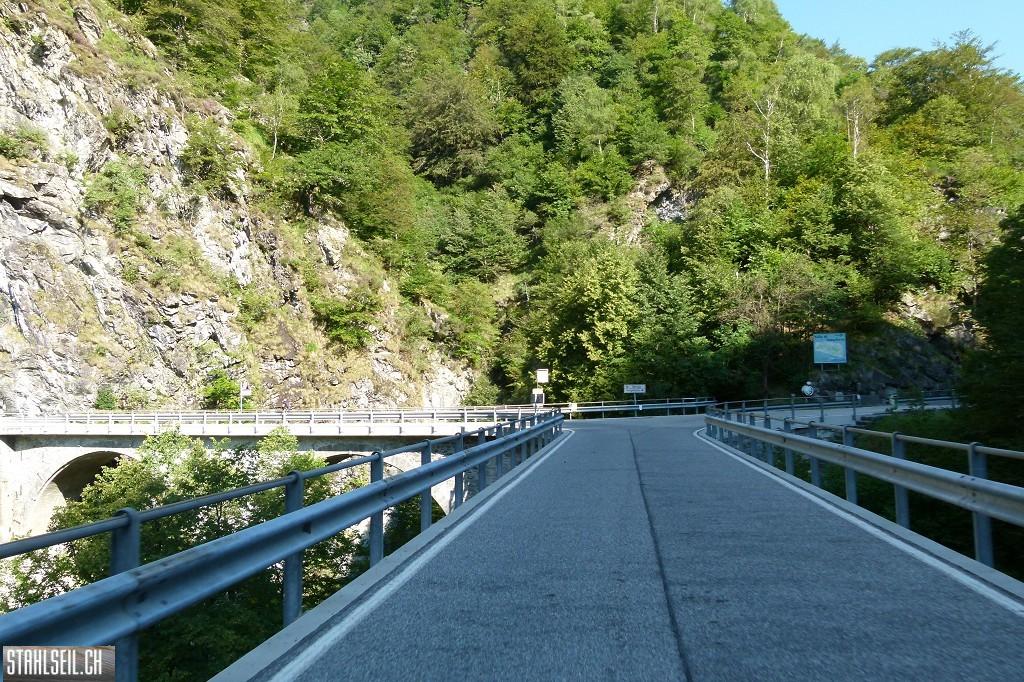 k-k-P1580651.JPG