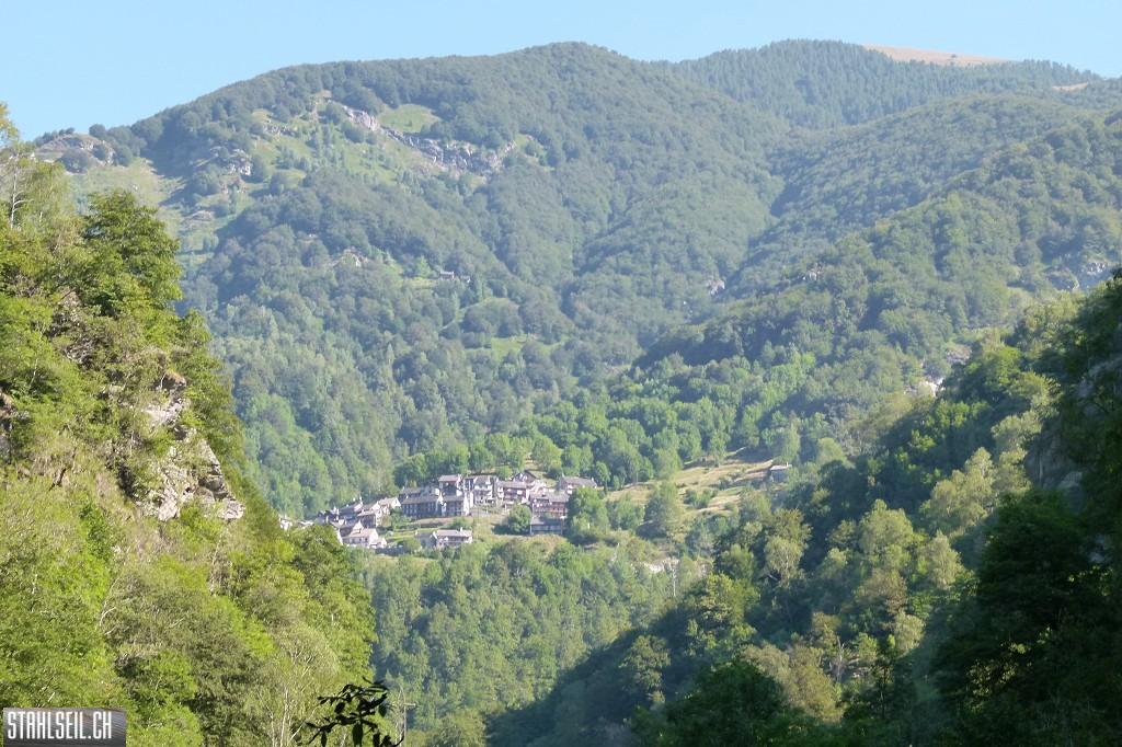 k-k-P1580653.JPG