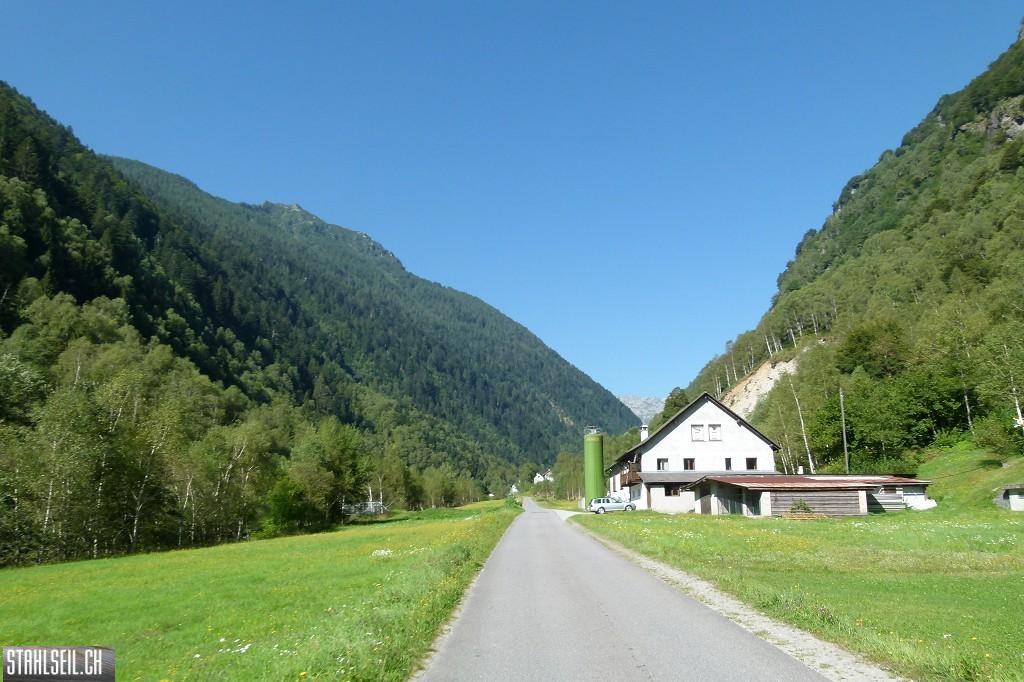 k-k-P1580656.JPG