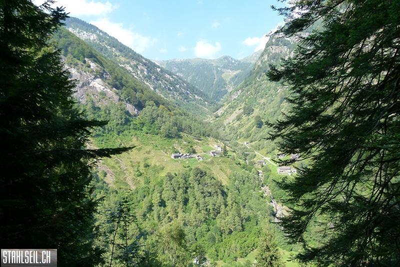 k-k-P1580748.JPG