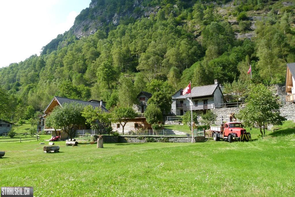 k-k-P1580752.JPG