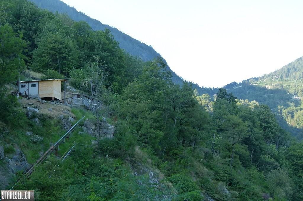 k-k-P1580790.JPG