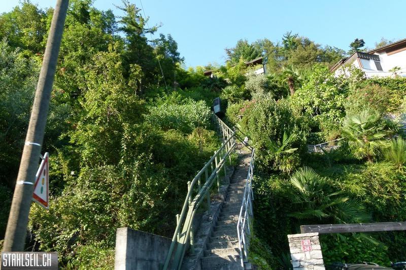 k-k-P1580813.JPG