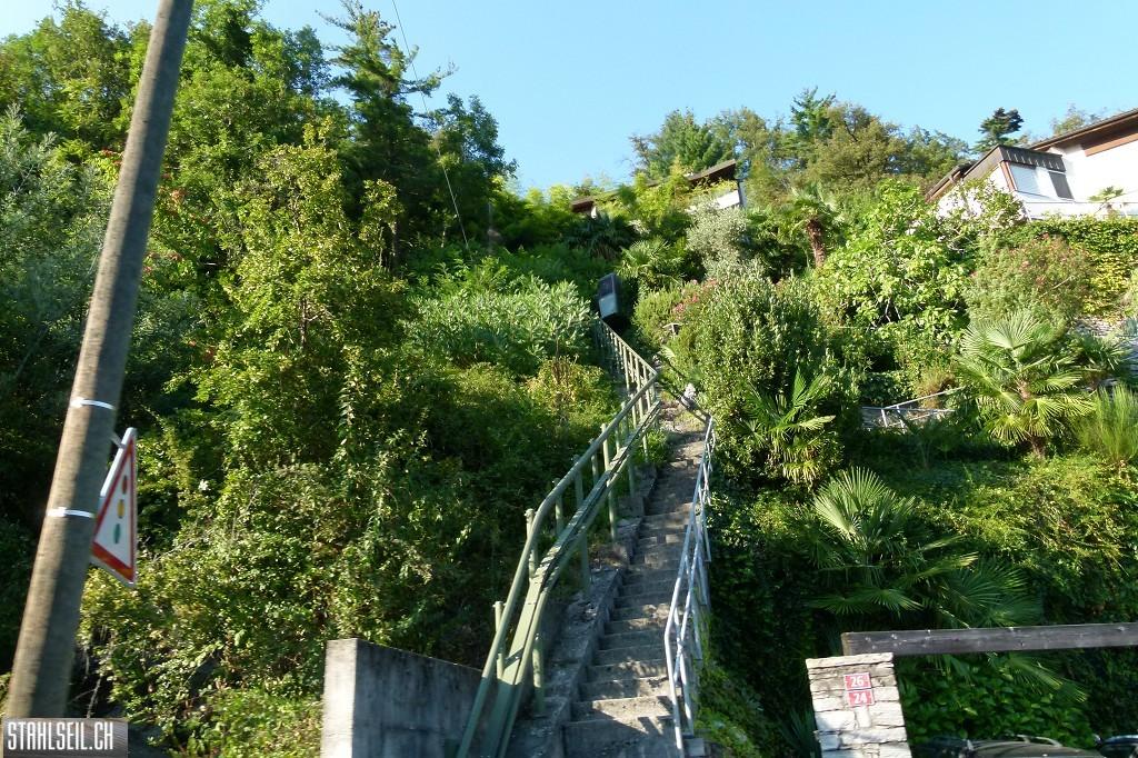 k-k-P1580813.JPG