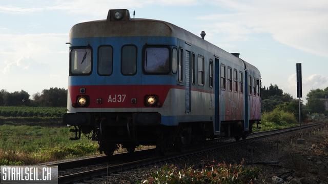k-DSC01951.JPG