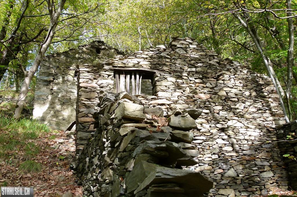 k-P1590727.JPG