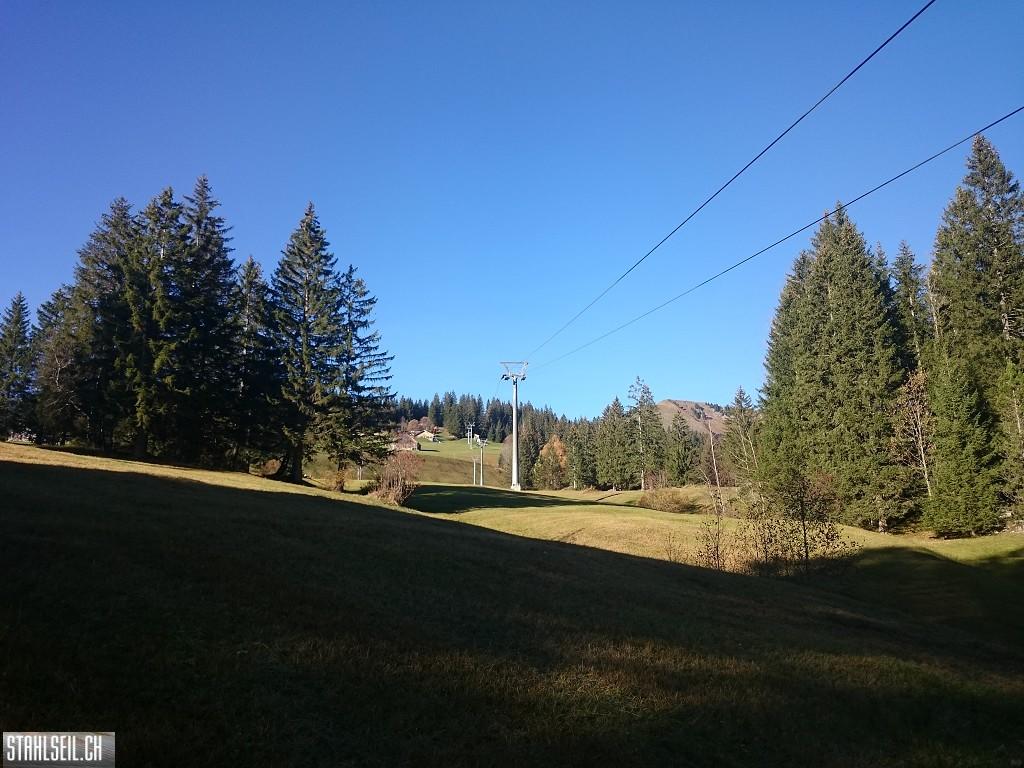 k-DSC_0124_23.JPG