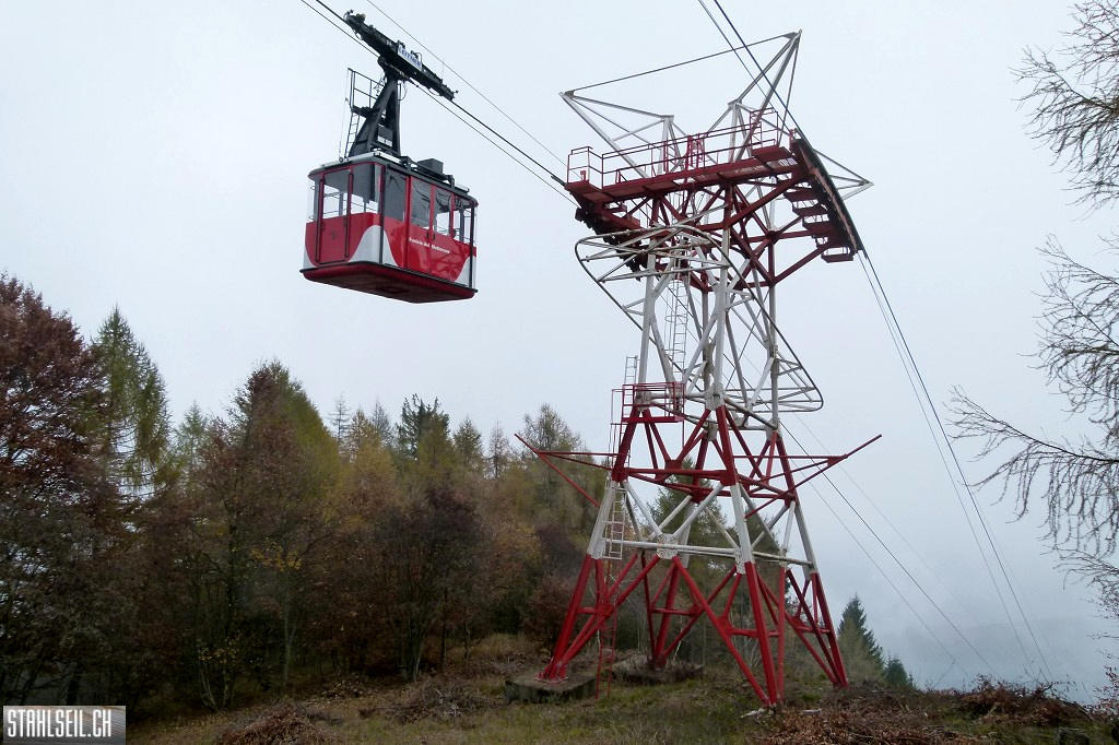 k-P1590893.JPG