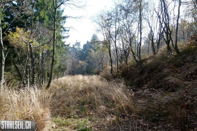 k-P1590974.JPG