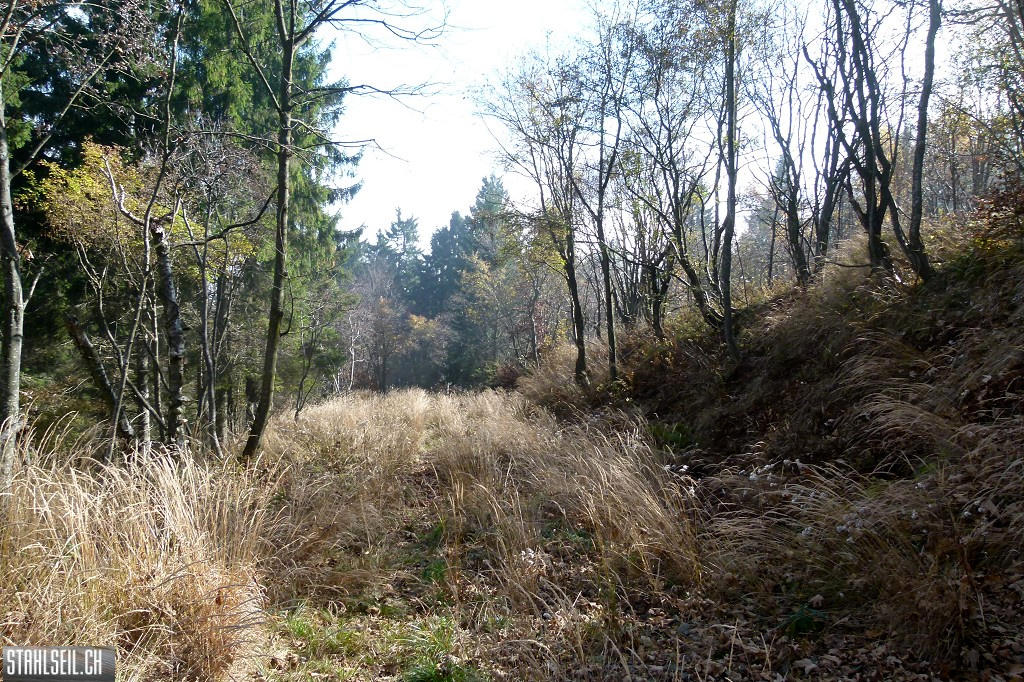 k-P1590974.JPG