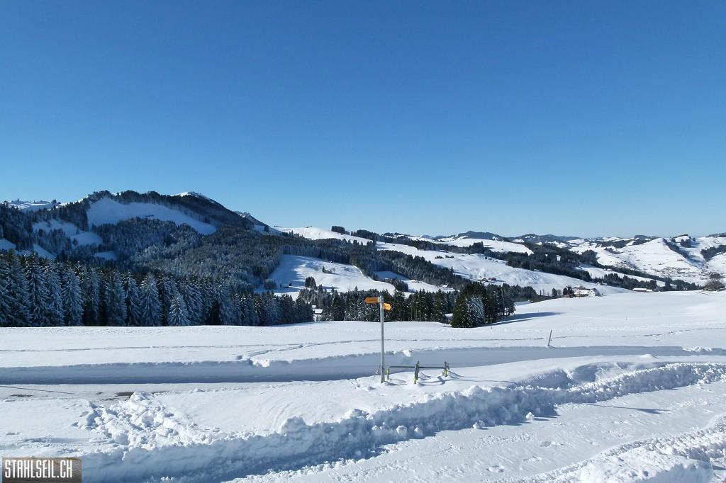 k-P1620824.JPG
