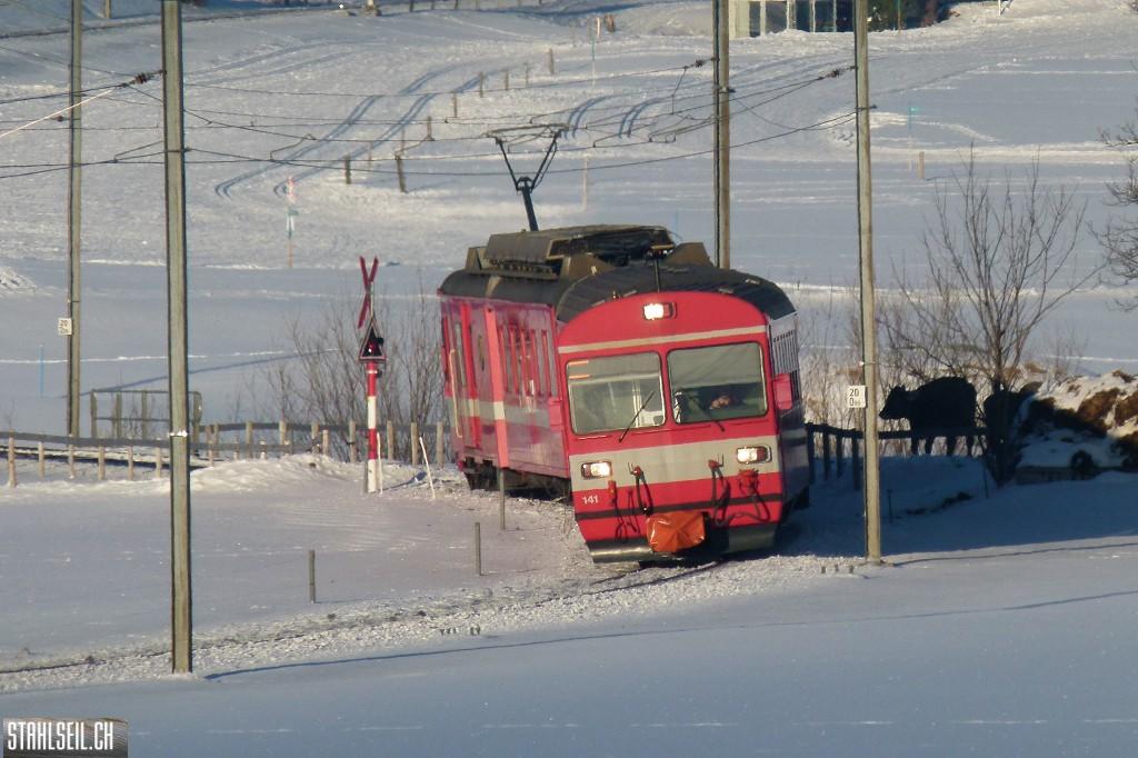 k-P1630159.JPG
