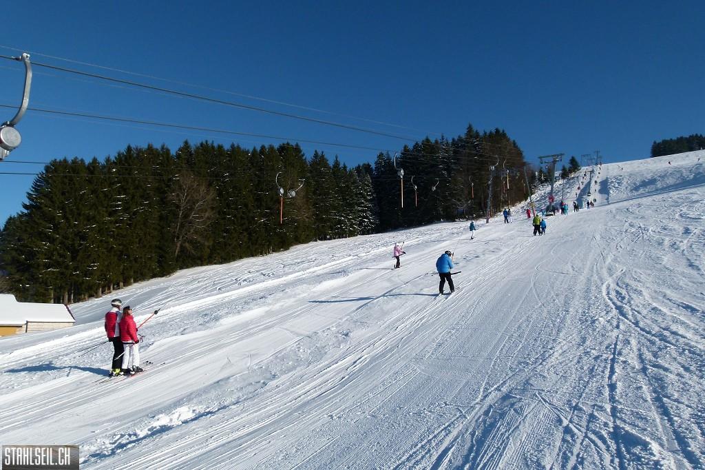 k-P1630054.JPG