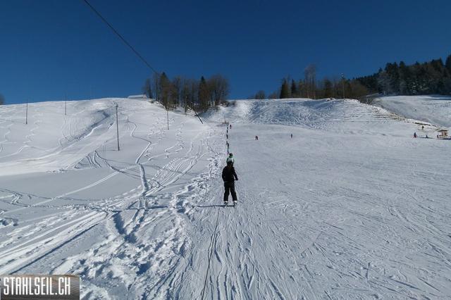 k-P1620956.JPG