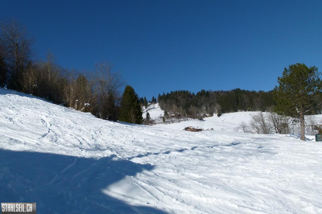 k-P1630468.JPG