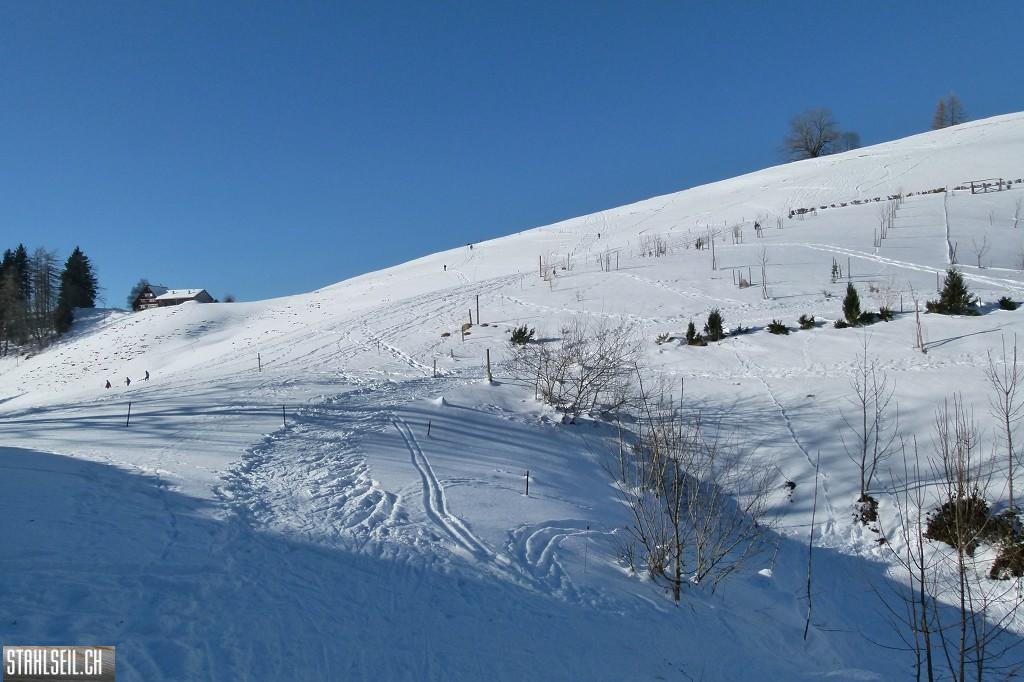 k-P1630607.JPG