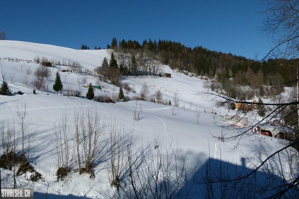 k-P1630608.JPG