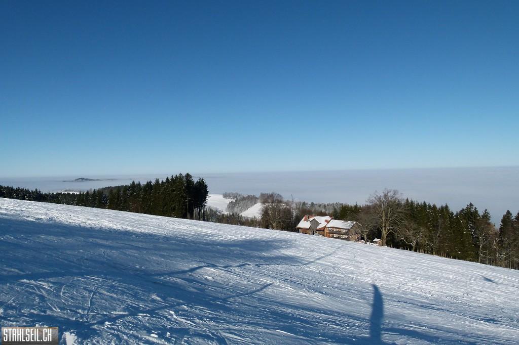 k-P1630224.JPG
