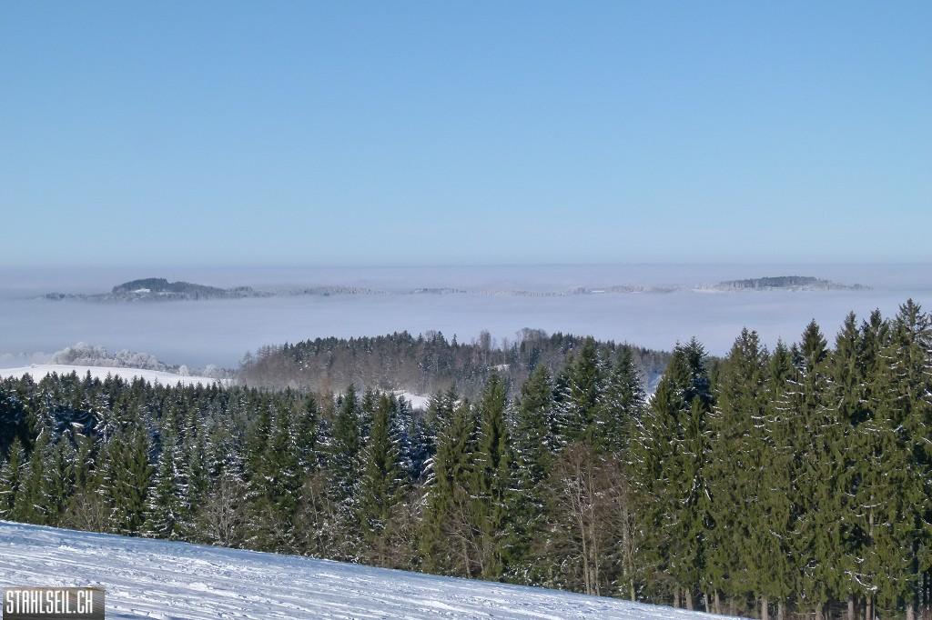 k-P1630226.JPG
