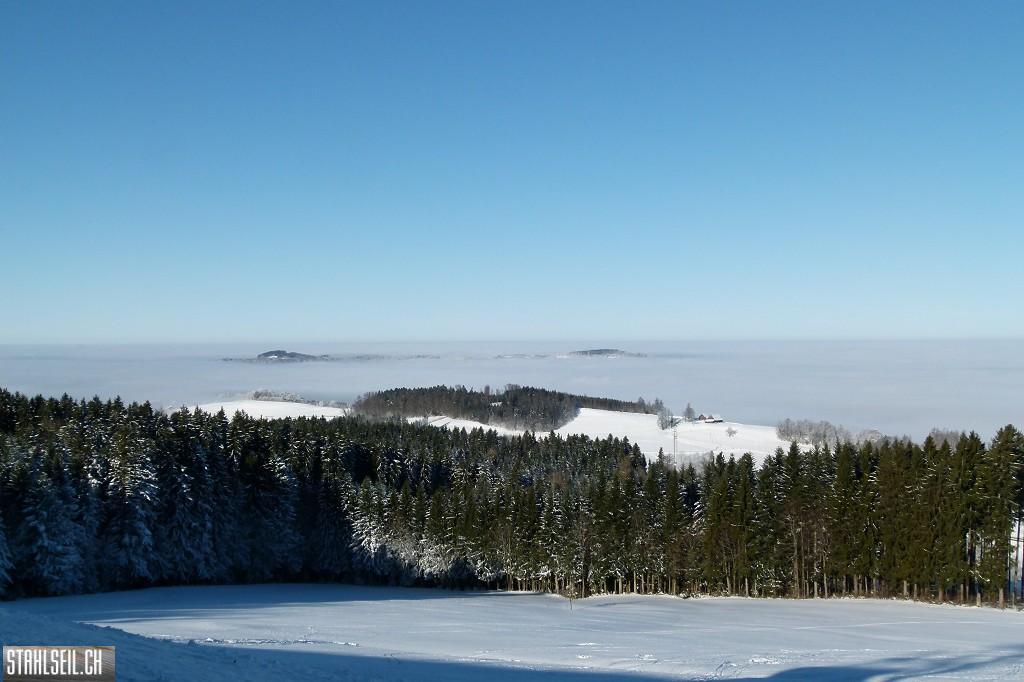 k-P1630229.JPG