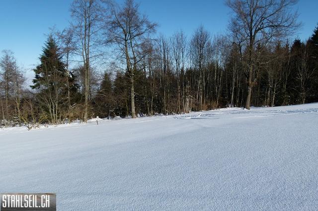 k-P1630321.JPG