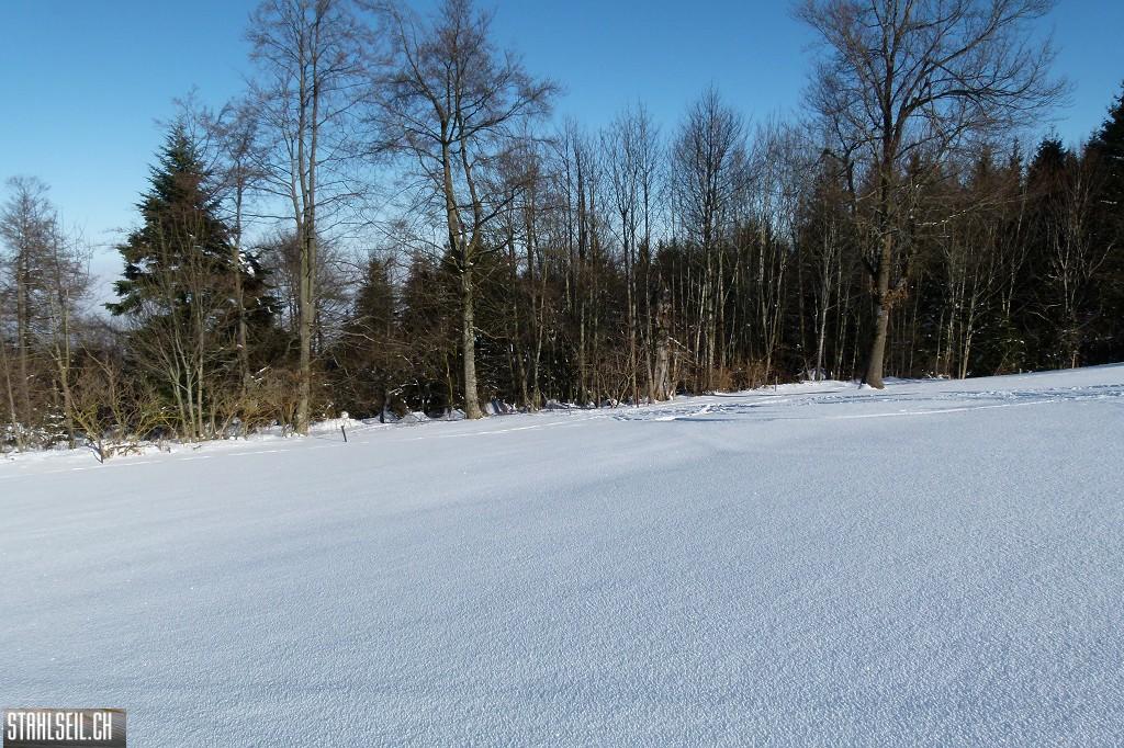 k-P1630321.JPG