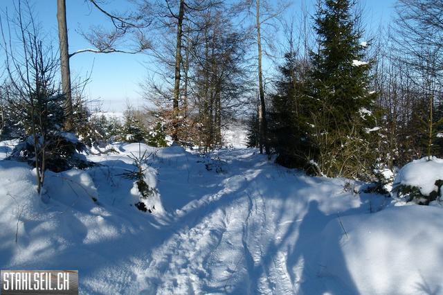 k-P1630323.JPG