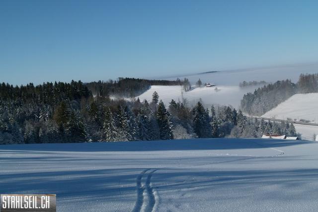 k-P1630326.JPG