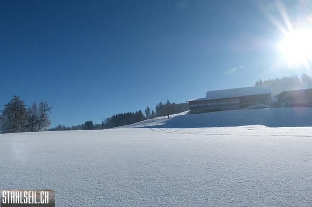 k-P1630334.JPG