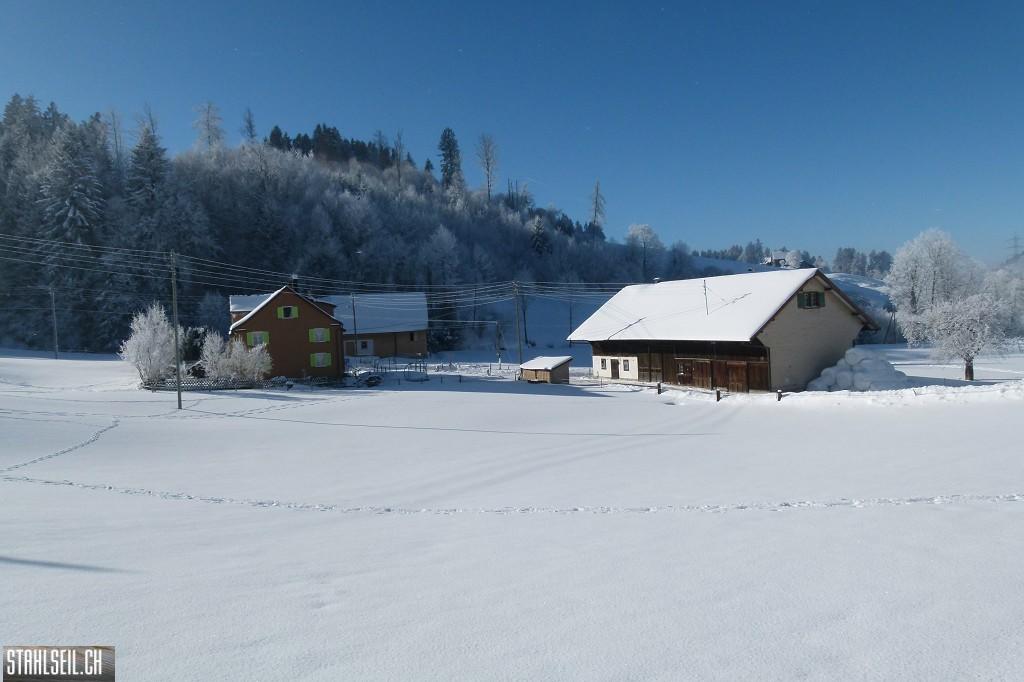 k-P1630337.JPG