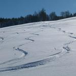 k-P1630376.JPG