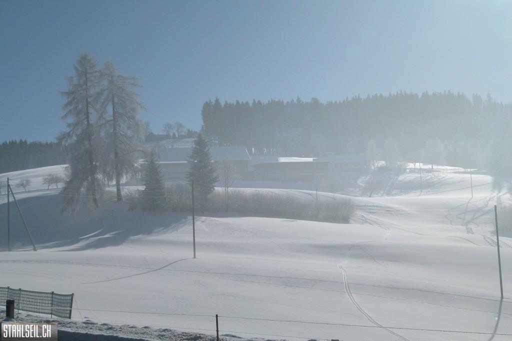 k-P1630377.JPG